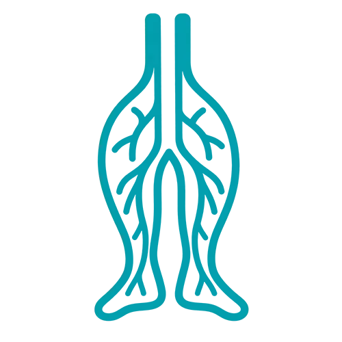 Peripheral Vascular
