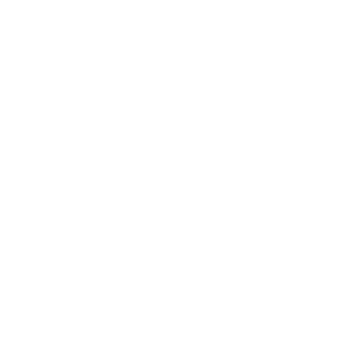 Pulmonology Icon